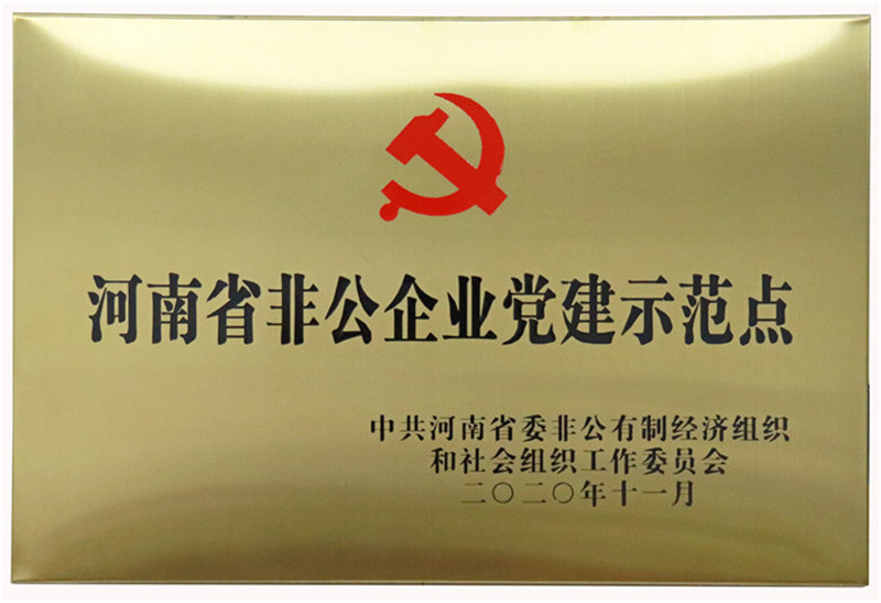 河南省非公企业党建示范点