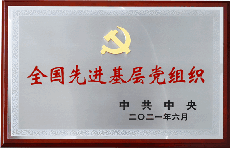 全国先进基层党组织