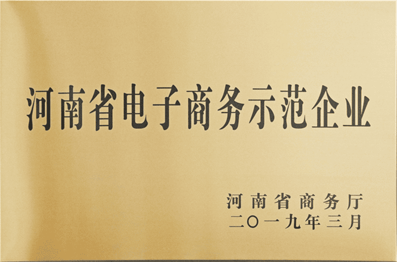 河南省电子商务示范企业