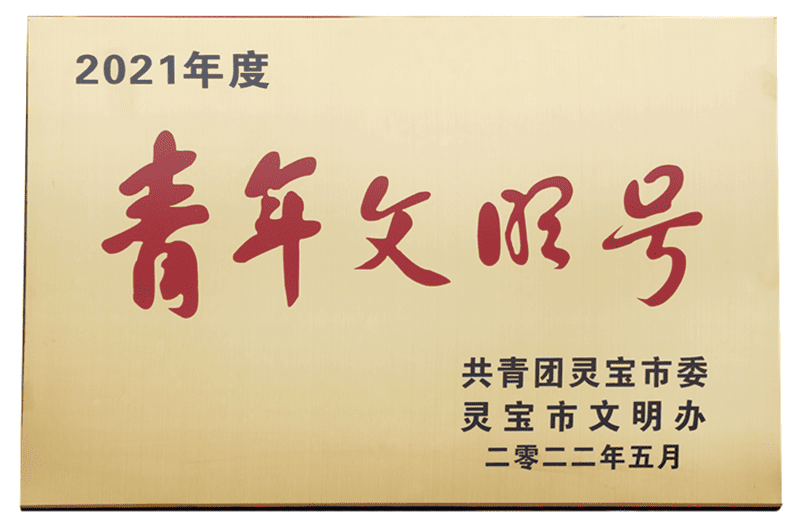  灵宝市青年文明号