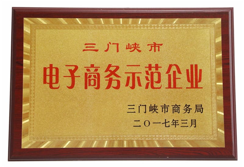  三门峡市电子商务示范企业