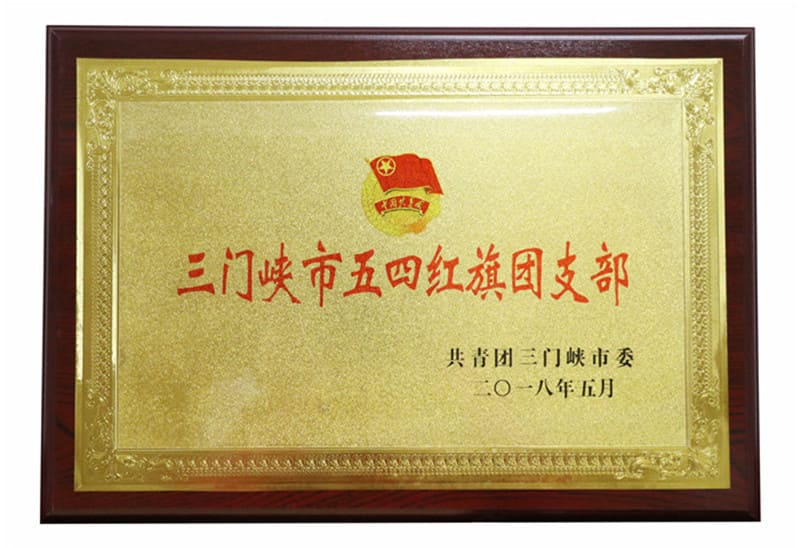 三门峡市五四红旗团支部