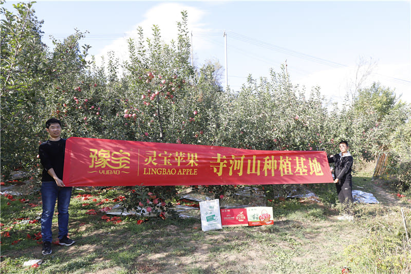 2022-帮助果农销售苹果