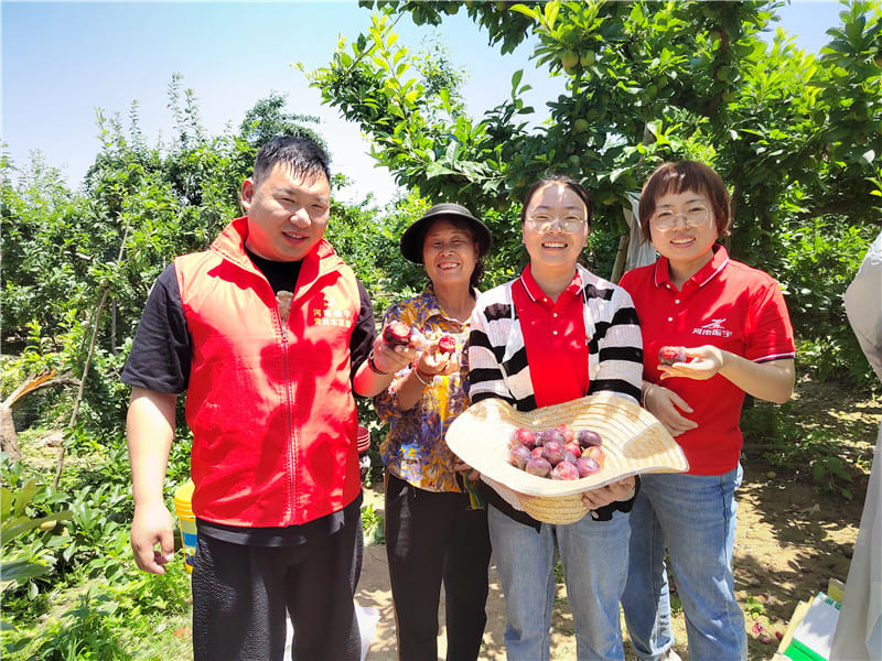 2023-帮助农户销售红布林 助力乡村振兴